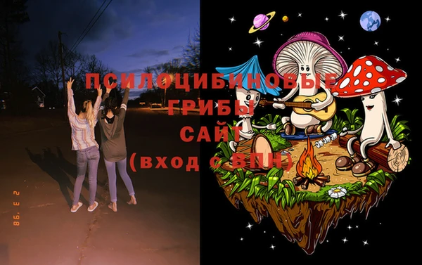 ГАЛЛЮЦИНОГЕННЫЕ ГРИБЫ Бугульма